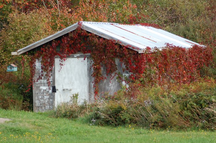 1209KanadaBesichtigungsflug (91)